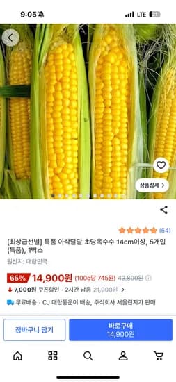 초당옥수수 14cm 이상 외 다양 5개