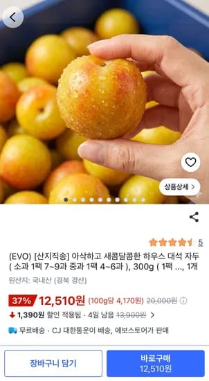 하우스 대석자두 10%할인 /  소과100g12,510, 중과 300g13,410