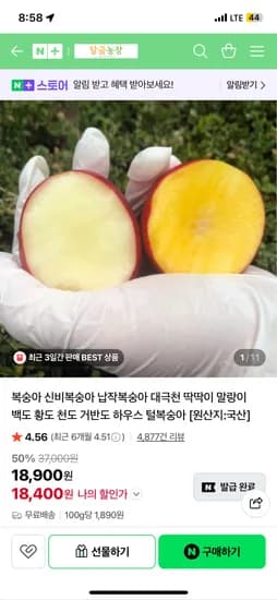 달금농장 신비복숭아 하우스 털복숭아 500g (13,400원/무배)
