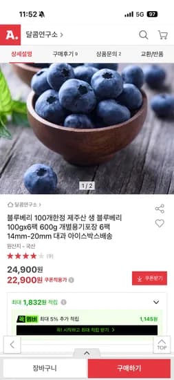 블루베리 14mm-20mm 대과 100g x 6팩 총 600g 22900원