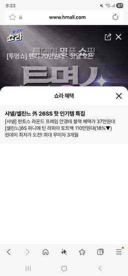 샤넬 셀린느 외 판토스 안경테 셀린트 토트백 1개