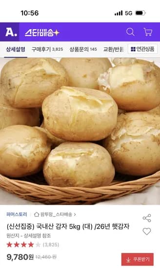 햇감자 5kg 대사이즈