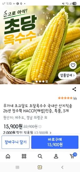 초당옥수수 5개