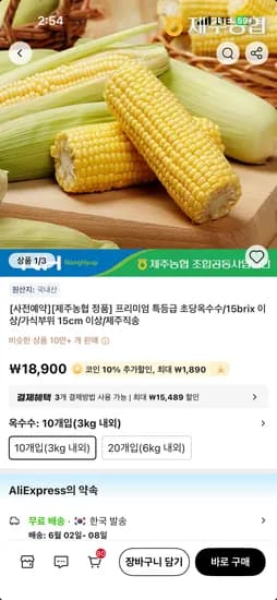제주농협 프리미엄 특등급 초당옥수수 외 다양 10개 17010원