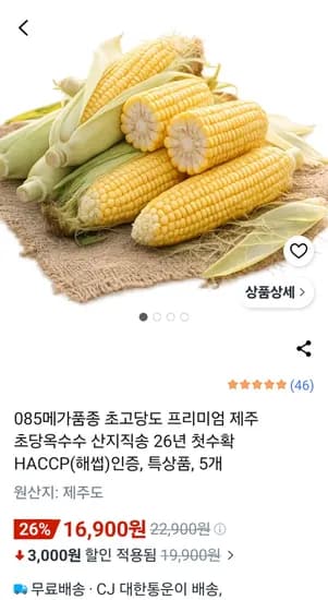 제주 초당옥수수 특상품 외 다양 5개 16900g