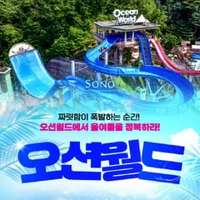 비발디파크 오션월드 워터파크 입장권 29,570원 (총 1인)