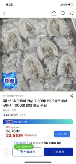국내산 갑오징어 2kg 외 다양