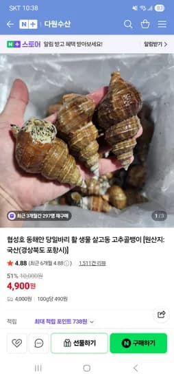 다원수산 동해안 당일바리 살고동 고추골뱅이 1kg 외 다양 4,900원