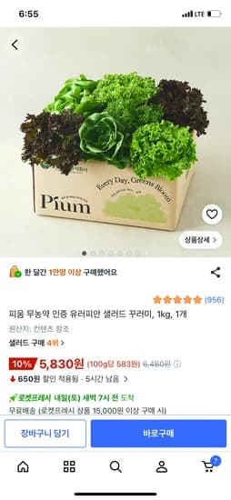 피움 무농약 인증 유러피안 샐러드 꾸러미 1kg 외 1개