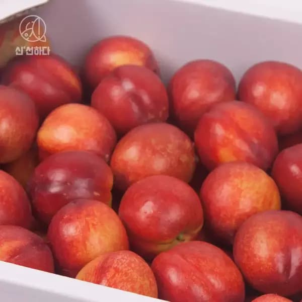 천도복숭아 2kg 외 다양 12개