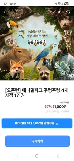 전지점 건전지 다양 20개, 총 1.1kg
