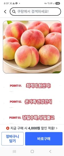 반납작 대극천 복숭아 외 다양 500g 15,700원