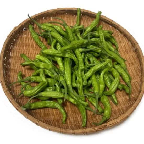 나주 청년농부 꽈리고추 600g 4,200원 무배