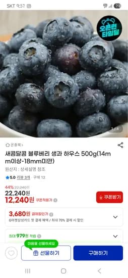 새콤달콤 블루베리 생과 외 다양 500g 총 12개