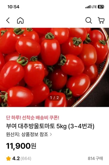 대추방울토마토 외 다양 3-4번, 5kg