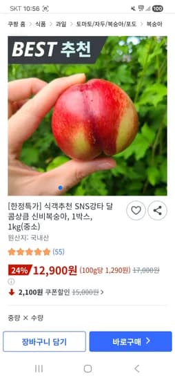달콤상큼 신비복숭아 중소 1kg 외 다양 12개