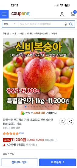 당일수확 경산 신비복숭아 1kg 외 다양 11,200원