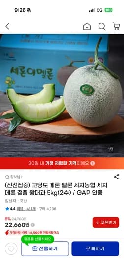 고당도 세지메론 멜론 왕대과 5kg 외 2수 2개