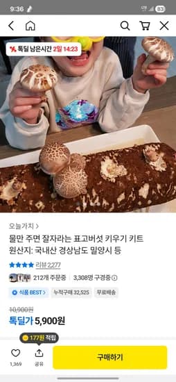 표고버섯키우기 키트