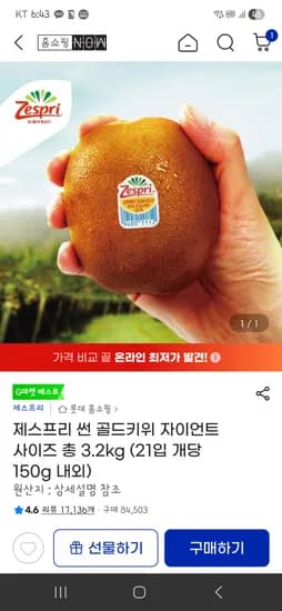제스프리 골드키위 자이언트 총 3.2kg (21입 개당 150g 내외)