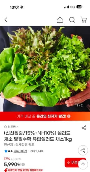 유럽 샐러드 채소 1kg