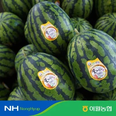 충북 숯채화수박 꿀수박 8~9kg