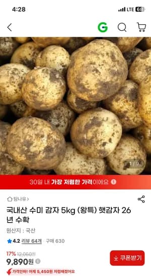 국내산 햇감자 5kg 왕특사이즈 9890원 무배