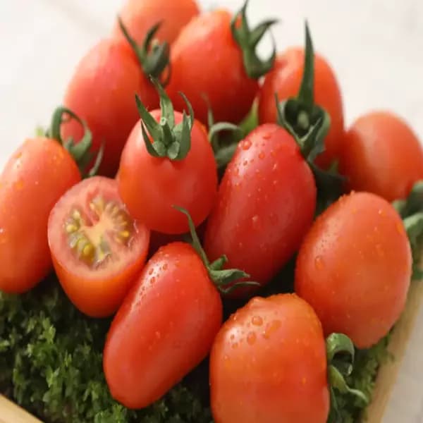 스테비아 대추방울토마토 2kg 9,470원