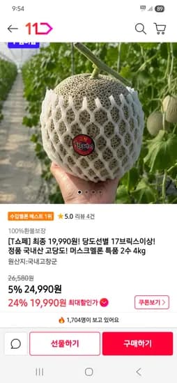 머스크멜론 특품 2수 4kg 19,990원