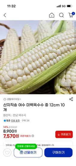 여수 미백옥수수 12cm 이상 10개
