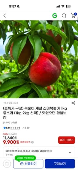 제철 신비복숭아 1kg 중소과 1kg 1개