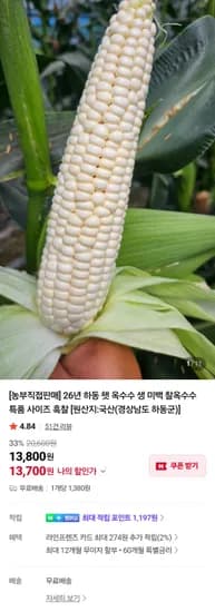 26년 하동 햇 옥수수 찰옥수수 특품