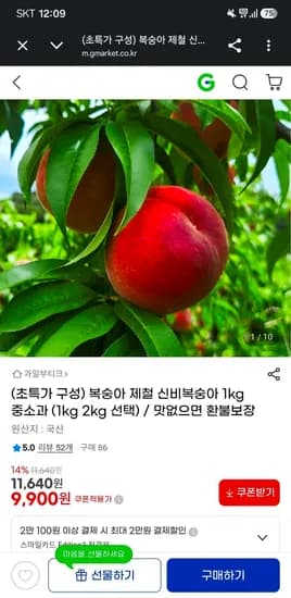 신비복숭아 2kg 중소과 2kg