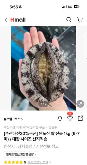 완도산 활 전복 1kg 6-7미 대왕 1kg