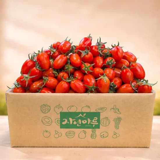 대추방울토마토 3-4번 4kg