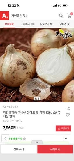전라도 햇 양파 10kg 7,960원