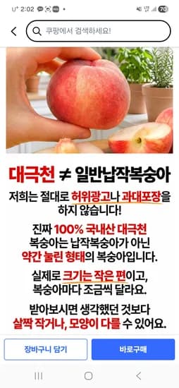 대극천 반납작 납작복숭아 15브릭스 2kg 1박스 무베 1개