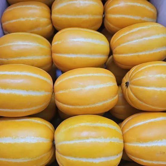 성주 참외 로얄과 5KG