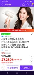 휴스톰 BLDC 헤어드라이기 27,250원