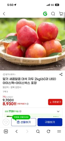 새콤달콤 대석 자두 2kg