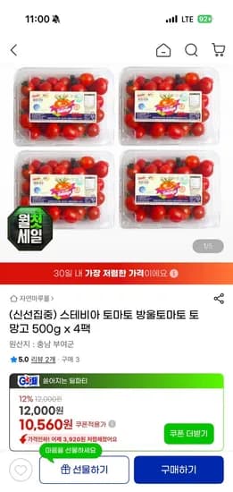 스테비아 방울토마토 토망고 500g 4팩 9,830원