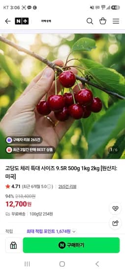 고당도 체리특대사이즈 500g 12,700원