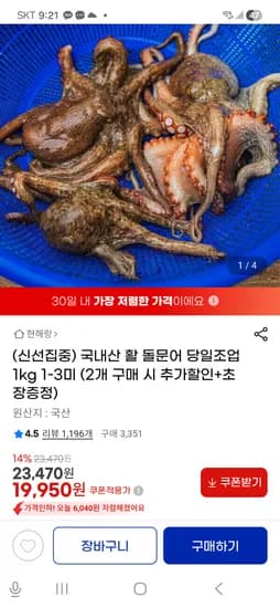 국내산 활 돌문어 1kg 1-3미 19,950원