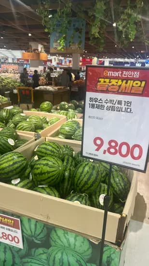 수박 특 9800원