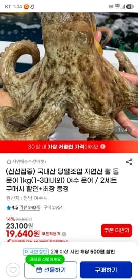 국내산 당일조업 돌문어 1kg 1~3미 19,640원