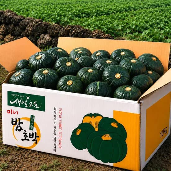 토스 단호박 2kg 900원