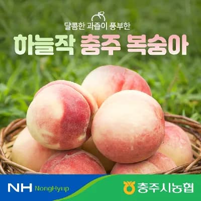 충주시농협 하늘작 고당도 복숭아 2.5kg 7-11과 15,920원 무배
