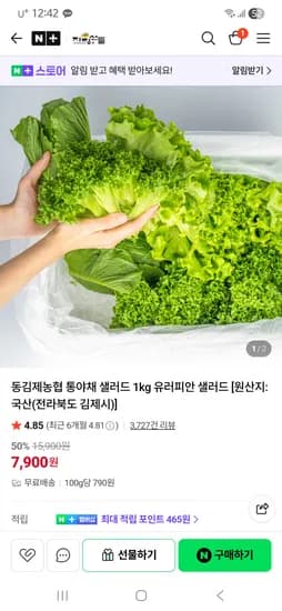 유러피안 샐러드채소 1kg 6,900원