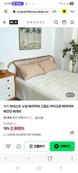 Hanest 마이크로 베개커버2장세트 2900원