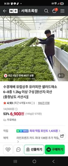 서해초록팜 유러피안 샐러드 6종~8종 1.2kg 6,900원 무배